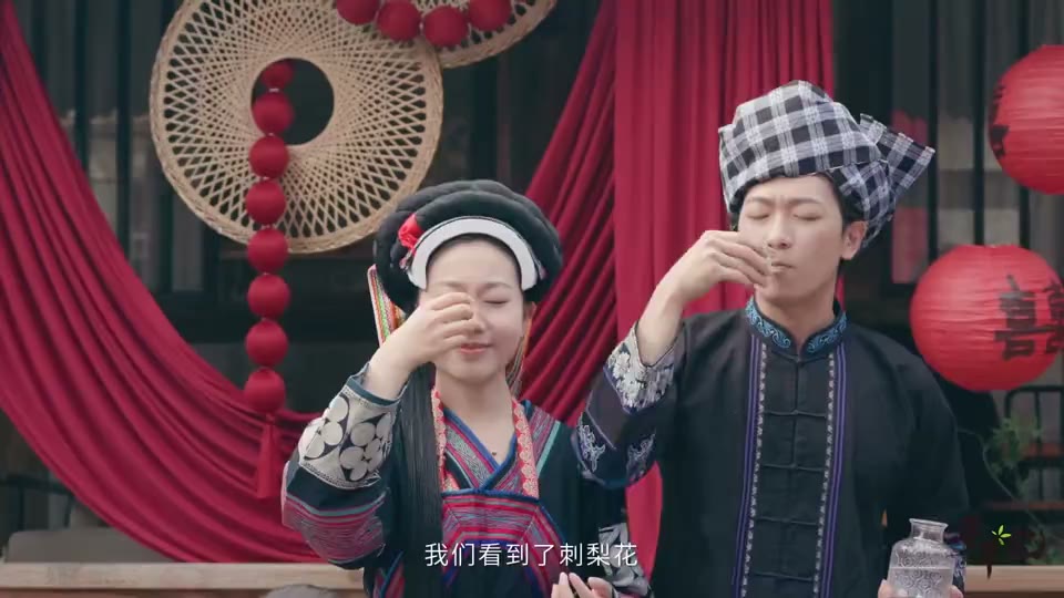 寻草记刺梨项目静帧